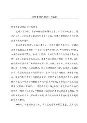 销售主管试用期工作总结.docx