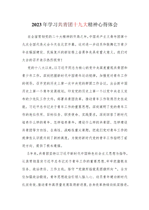 党支部中国共产主义青年团第十九次全国代表大会开幕感悟心得.docx