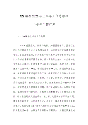 XX镇在2023年上半年工作总结和下半年工作打算.docx