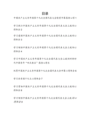 党员干部团员学习贯彻中国共产主义青年团第十九次全国代表大会上致词精神心得体会研讨发言9篇.docx