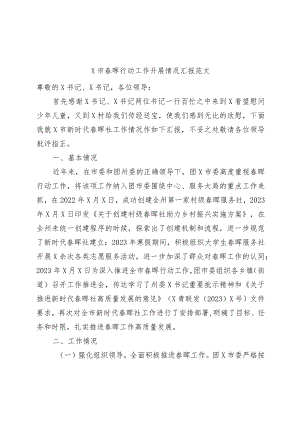 x市春晖行动工作开展情况汇报（总结报告）.docx