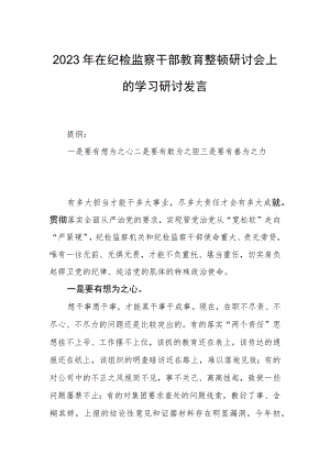2023年在纪检监察干部教育整顿研讨会上的学习研讨发言.docx