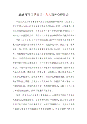 团支部中国共产主义青年团第十九次全国代表大会学习感悟心得专题资料.docx
