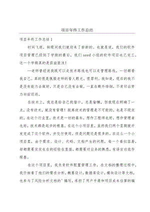 项目年终工作总结.docx