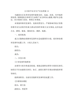 公司春节安全生产应急预案 14.docx