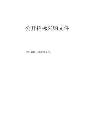 妇幼保健院宫腔镜系统项目招标文件.docx