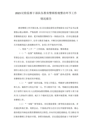 2023纪检监察干部队伍教育整顿检视整治环节工作情况报告（2篇）.docx