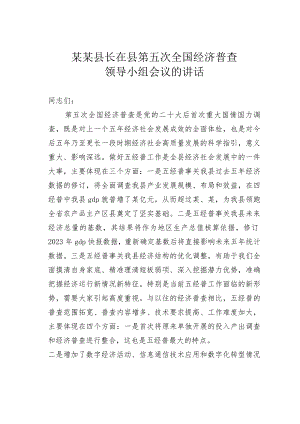 某某县长在县第五次全国经济普查领导小组会议的讲话.docx