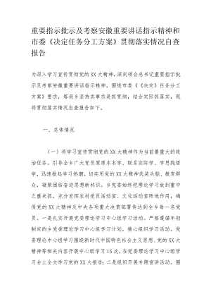 重要指示批示及考察安徽重要讲话指示精神和市委《决定任务分工方案》贯彻落实情况自查报告.docx
