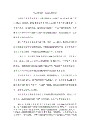 学习共青团第十九次全国代表大会心得体会五.docx