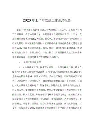 2023年上半年党建工作总结报告（参考范文）.docx