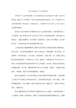 学习共青团十九大精神感悟02.docx