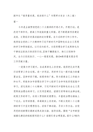 副市长“高质量发展我该谋什么”专题研讨发言(共二篇).docx