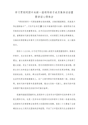 学习贯彻同团中央新一届领导班子成员集体谈话重要讲话心得体会.docx