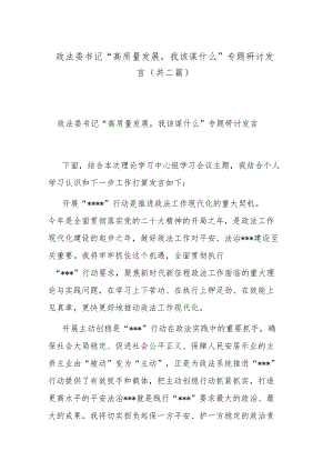 政法委书记“高质量发展我该谋什么”专题研讨发言(共二篇).docx