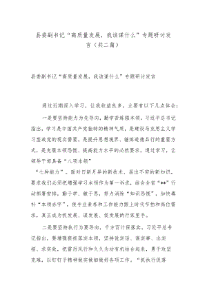 县委副书记“高质量发展我该谋什么”专题研讨发言(共二篇).docx