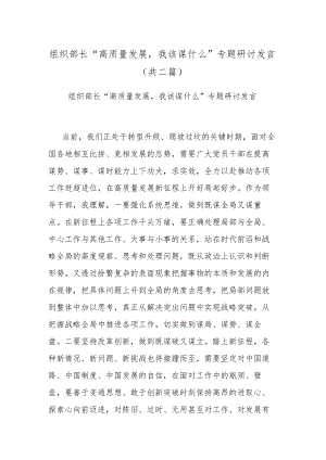 组织部长“高质量发展我该谋什么”专题研讨发言(共二篇).docx