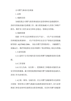 公司燃气事故应急预案.docx