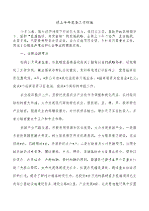 镇上半年党委工作综述.docx