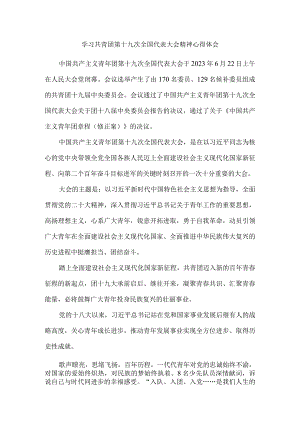 学习共青团第十九次全国代表大会精神心得体会3.docx