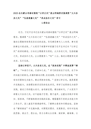 2023在内蒙古考察时围绕“以学正风”提出明确要求强调要“大兴务实之风”“弘扬清廉之风”“养成俭朴之风”学习心得体会3篇.docx
