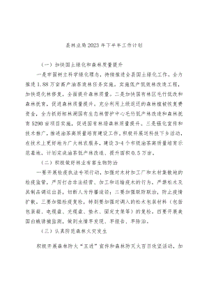 县林业局2023年下半年工作计划.docx