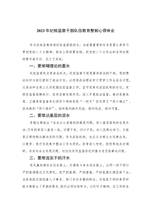 【2023纪检教育整顿】2023年纪检监察干部队伍教育整顿心得体会【4篇】供参考.docx