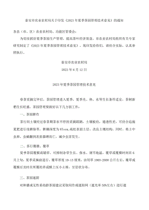 泰安市农业农村局关于印发《2023年夏季茶园管理技术意见》的通知.docx