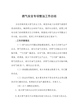 2023年燃气安全生产专项整治工作总结七篇.docx