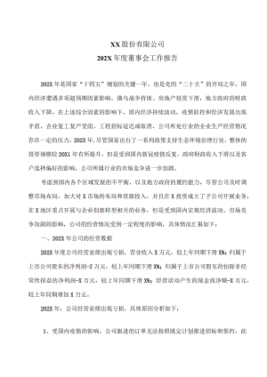 XX股份有限公司202X年度董事会工作报告.docx