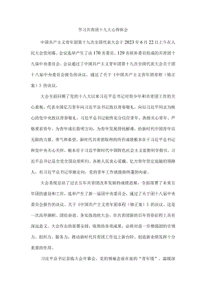 学习共青团第十九次全国代表大会精神感悟四.docx