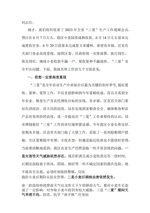 副县长在“三夏”生产安排部署会上的讲话.docx