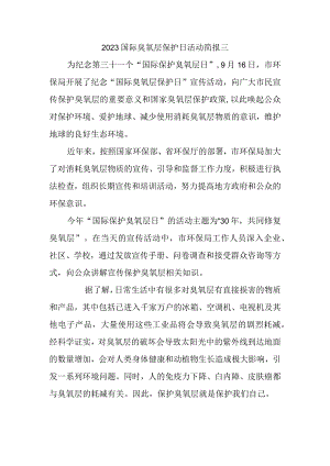 2023国际臭氧层保护日活动简报三.docx