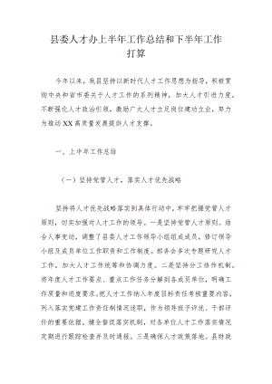 县委人才办上半年工作总结和下半年工作打算.docx