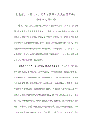 贯彻落实中国共产主义青年团第十九次全国代表大会精神心得体会.docx