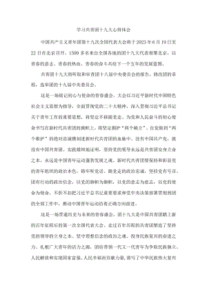 学习共青团十九大心得体二.docx