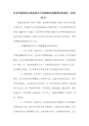 生态环境局县分局党组关于巡察整改进展情况的报告.docx