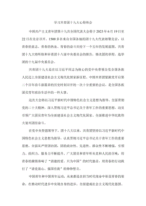学习共青团十九大精神感悟三.docx
