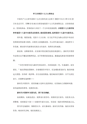 学习共青团十九大心得体会.docx