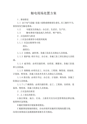触电现场处置方案范本.docx