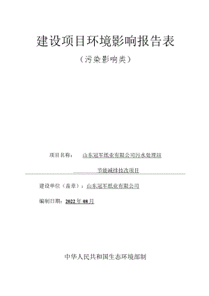 山东冠军纸业有限公司污水处理站节能减排技改项目环境影响评价报告书.docx