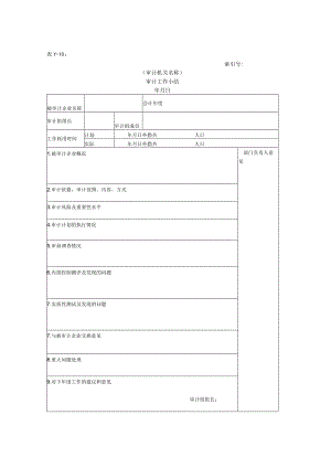 【国家审计报告】审计报告W-03审计工作小结.docx