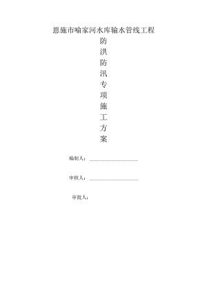 防洪防汛专项施工方案.docx