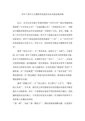 青年干部学习主题教育加强党风纪风建设演讲稿.docx
