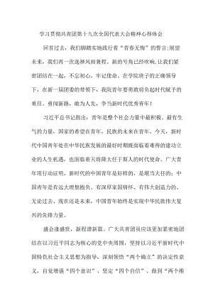 企业团组织学习贯彻共青团第十九次全国代表大会精神个人心得体会 四篇.docx