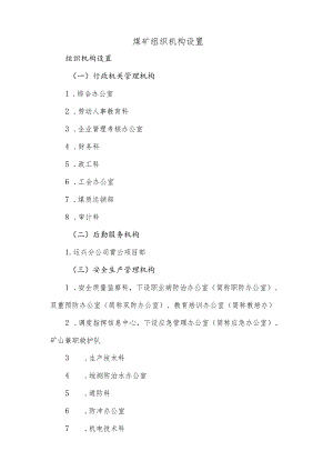 煤矿组织机构设置.docx