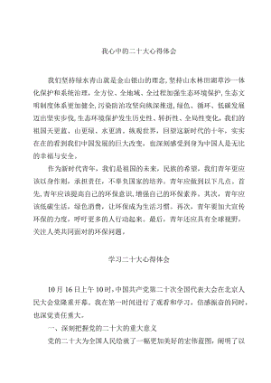 我心中的二十大心得体会精选范文(4篇).docx