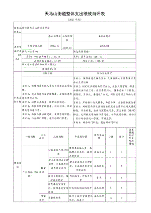 天马山街道整体支出绩效自评表.docx