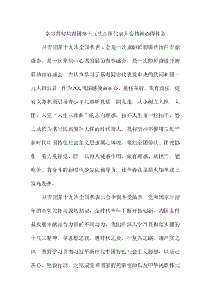 团委干部学习贯彻共青团第十九次全国代表大会精神个人心得体会.docx