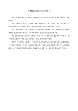 关键领域改革情况描述.docx